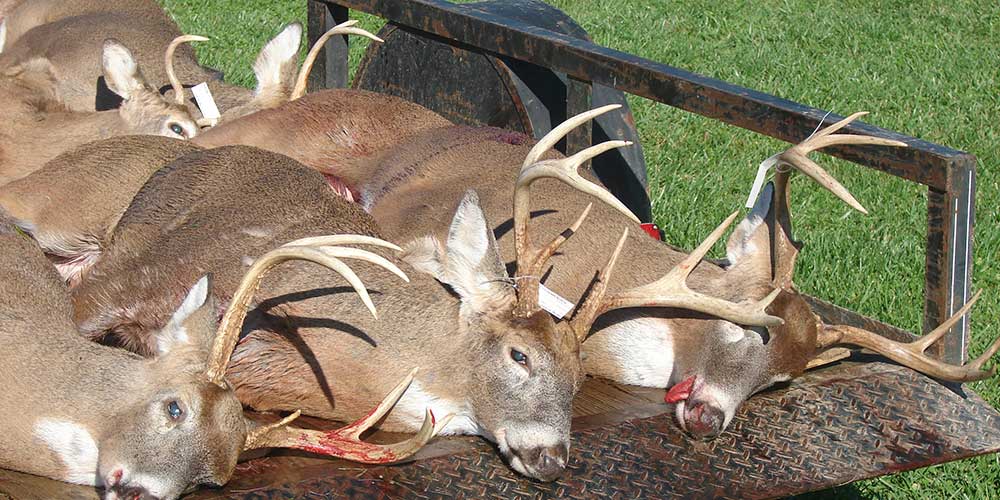 Chesapeake Guide Service