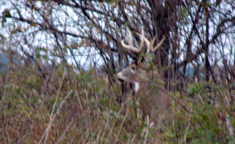 Chesapeake Guide Service